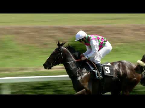 2. dostih - CENA 108 AGENCY - Video záznam Velké červnové ceny 2018 v Chuchli