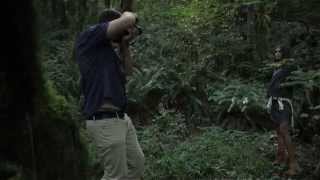 Cotton Makers -- Bridge & Burn