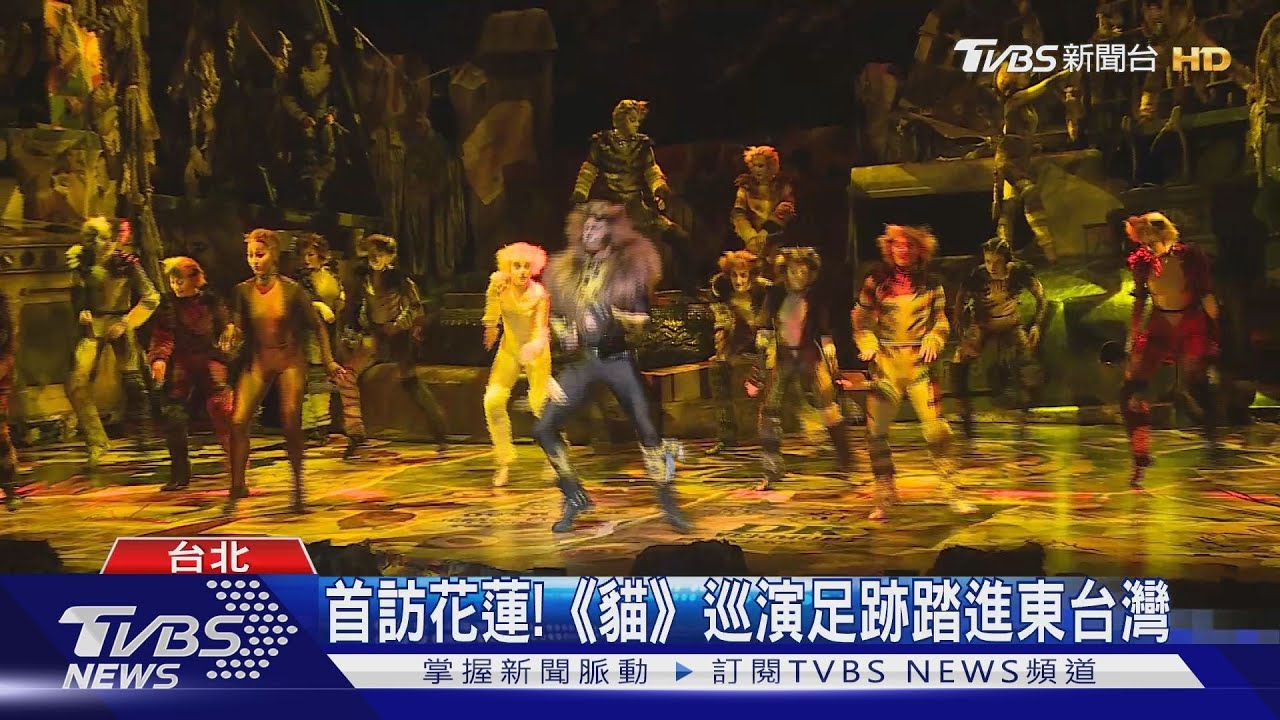首訪花蓮!《貓》巡演足跡踏進東台灣