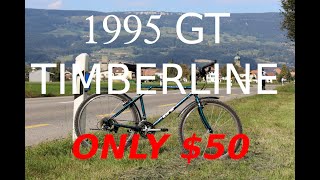 1995 Vintage MTB $50