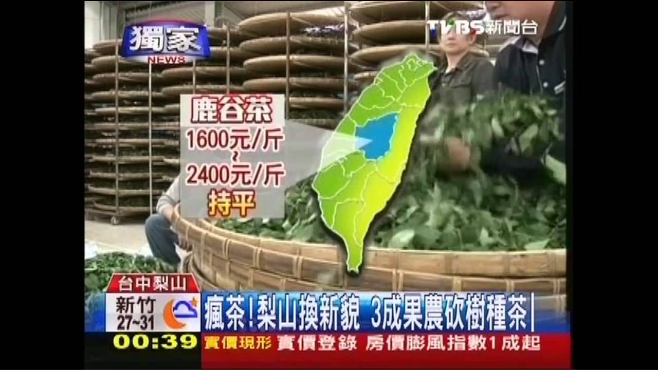 〈獨家〉瘋茶!梨山換新貌 3成果農砍樹種茶