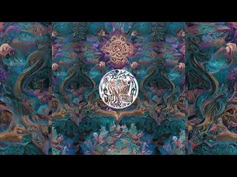 Surf Nicaragua - Father Son Spirit x Shape#shifter