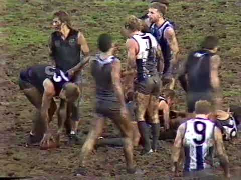 1989 Round 12 brief highlights  Carlton Vs Nth Melb 1 min