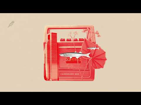 Video thumbnail for Cardboard Box