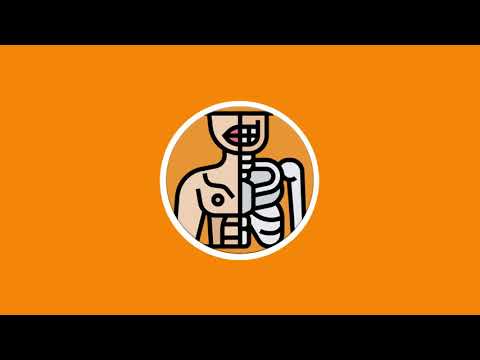 Anatomania - Anatomy Quiz