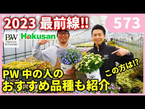 園芸 ジェネピグレー、ジェネピホワイト