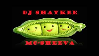 Dj shaykee- Mc Sheeva- keeping up
