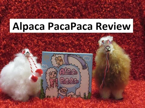 Alpaca PacaPaca Review with Nettersplays