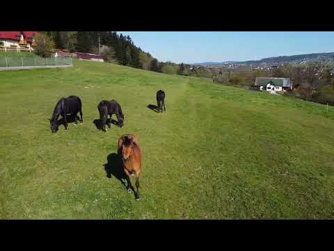 Agroturystyka Końska Górka Rabka-Zdrój