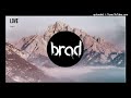 brad-love