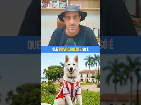 EMIGRAR para o PARAGUAI? #dinheiro #investimentos #finançaspessoais