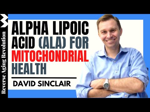 DAVID SINCLAIR "Alpha Lipoic Acid For Mitochondrial Health" | Dr David Sinclair Interview Clips