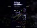 Oh Nenjame Uyire Thanjame WhatsApp Status Video S P B K S Chithra Mudhal Seethanam Movie