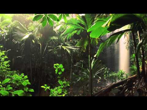 SHABBA RANKS FEAT. MYKAL ROSE (SHY FX * EASY DOES IT MIX)