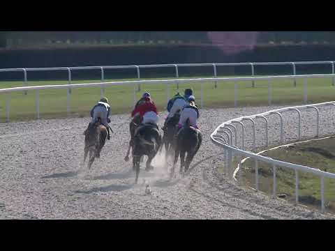 2020.11.29. 04. futam - SÁRKÁNYFŰ HENDIKEP (V.o.)(szintetikus pálya)