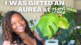 PLANT CON HAUL | Gifted Monstera + New Aglaonemas, Pothos and Hoya