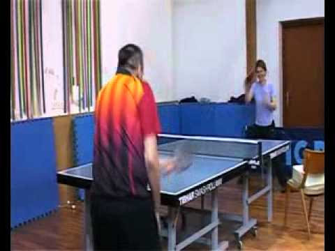 VJEKOSLAV GREGOROVIC HPO