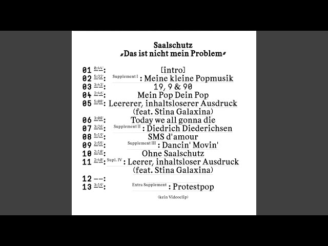 Saalschutz: Una Historia Musical Electrizante