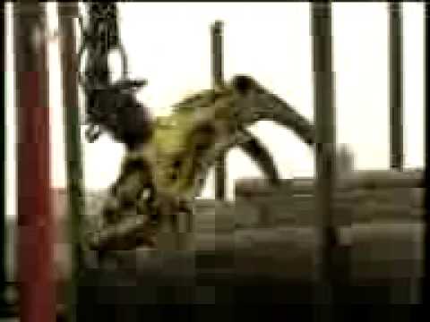 Sanjin Gašperić(12) Globalno sijelo