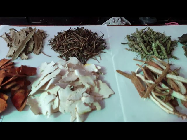 Bệnh mề đay và cách điều trị dứt điểm bằng thuốc thải độc cơ thể