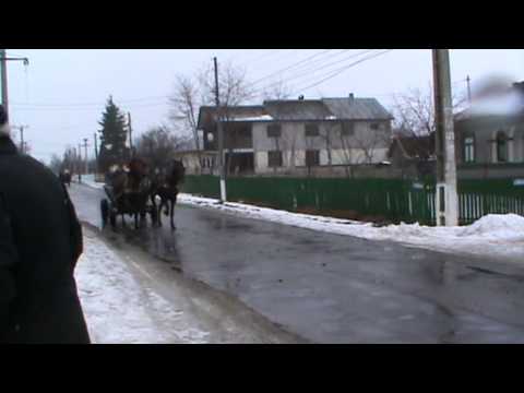 boboteaza in vultureni 1.MPG