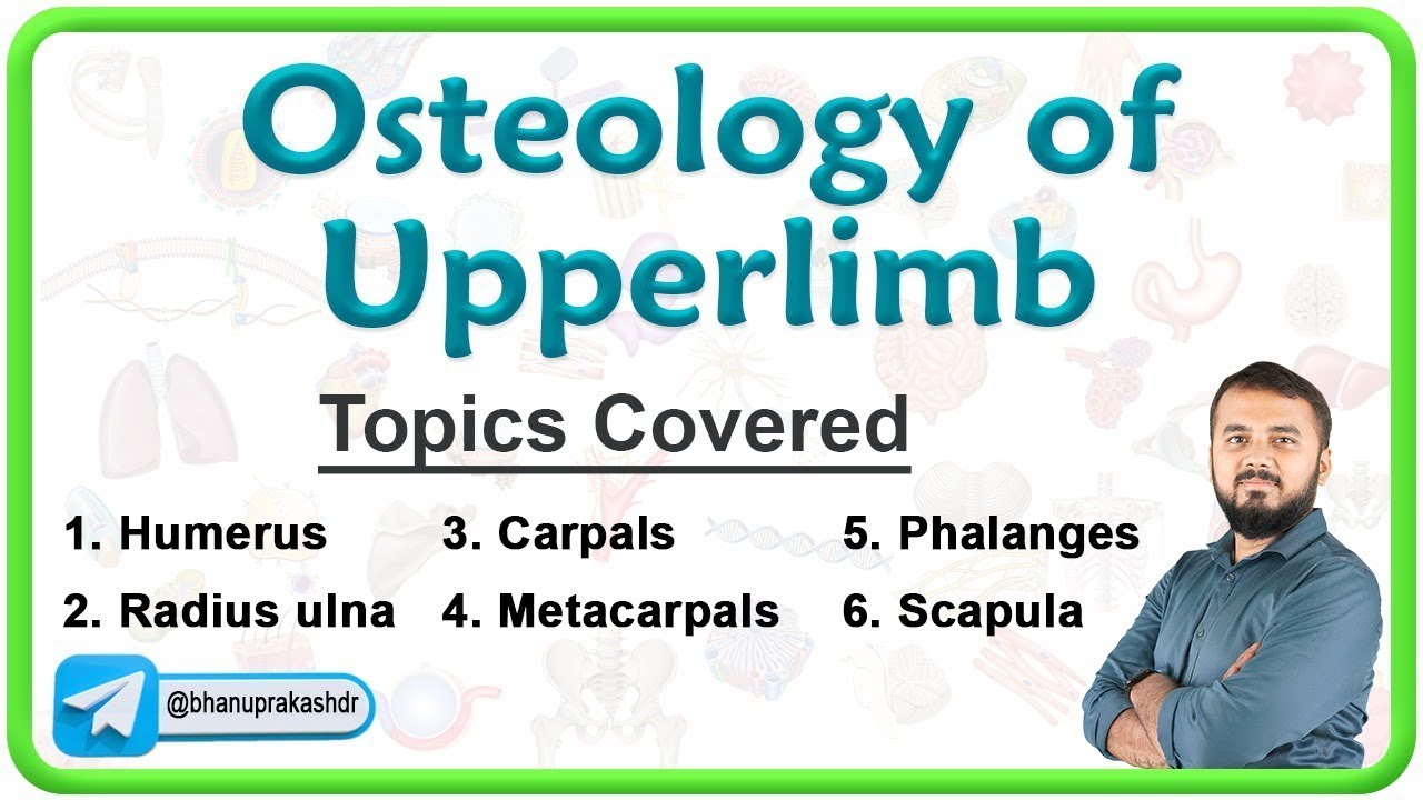 🦴 Oestology Of Upper Limb : Anatomy Lecture series 🎓🔍🕵️‍♂️
