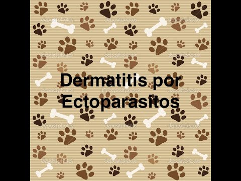 , title : 'Dermatitis por Ectoparasitos'