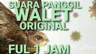 Download lagu SUARA PANGGIL WALET ORIGINAL FULL 1 JAM mp3