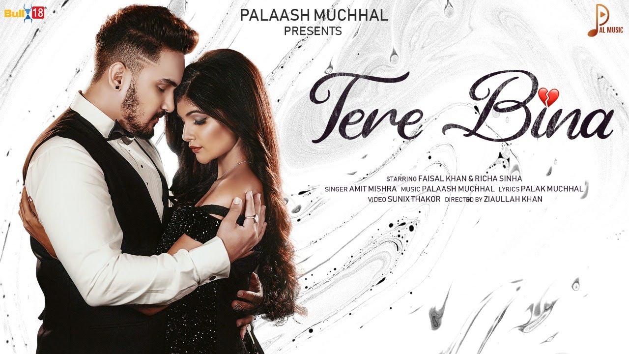 Tere Bina Lyrics | Pal Music | Amit Mishra