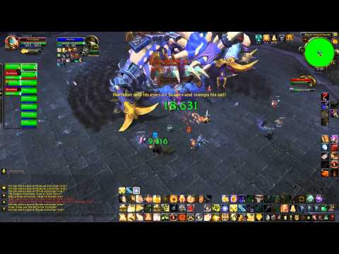 Horridon 10-Man Holy Paladin PoV (5.2 PTR, 17.01.13, 30%)