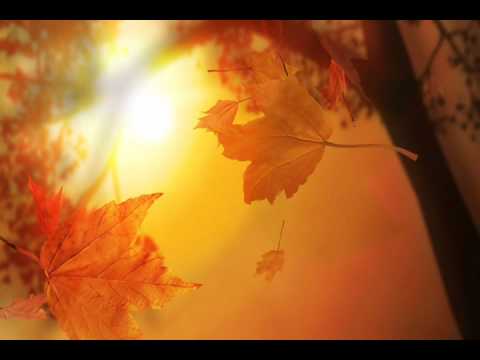 Sergio Vellatti - Autumn Leaves