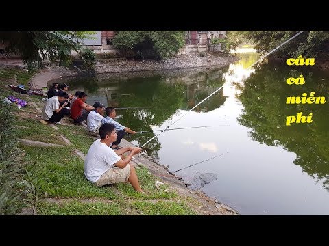 Không ngờ vẫn còn điểm câu cá miễn phí ở Hà Nội