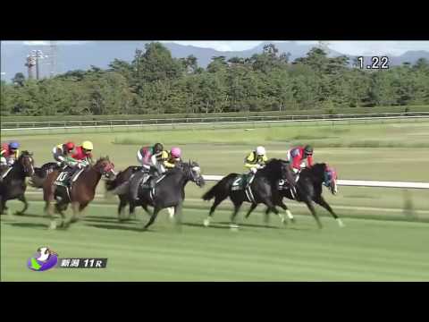 新潟記念2016(2000m)THE NIIGATA KINEN2016