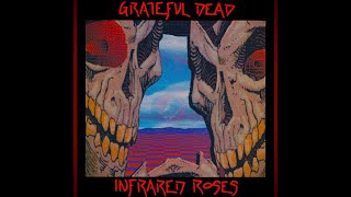 The Grateful Dead - Silver Apples Of The Moon