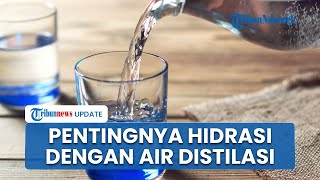 Pentingnya Hidrasi Sehat dengan Air Distilasi, Berikut 4 Manfaatnya untuk Kesehatan
