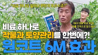 비료 한번에 작물과 토양 관리 까지 한다구요?! 설마했는데 진짜네..?(feat. 농사 성공 비료 요정과 함…