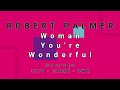 ROBERT PALMER-Woman You're Wonderful (vinyl)