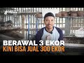 How To Raise Rabbits And Sell 300 Rabbits A Month This Former Indonesian Migrant Worker Has The