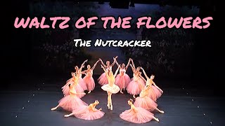 Download lagu The Nutcracker - Waltz of the Flowers / Victoria Ballet Theater / Alvin Ailey Theater NYC mp3 Download lagu The Nutcracker - Waltz of the Flowers / Victoria Ballet Theater / Alvin Ailey Theater NYC mp3