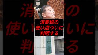 消費税の使い道、ついに判明する #政治 #税金 #自民党 #石破 #財務省