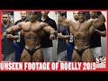 What Happened to Roelly in 2019?! He Looked Like Mr Olympia Winner!