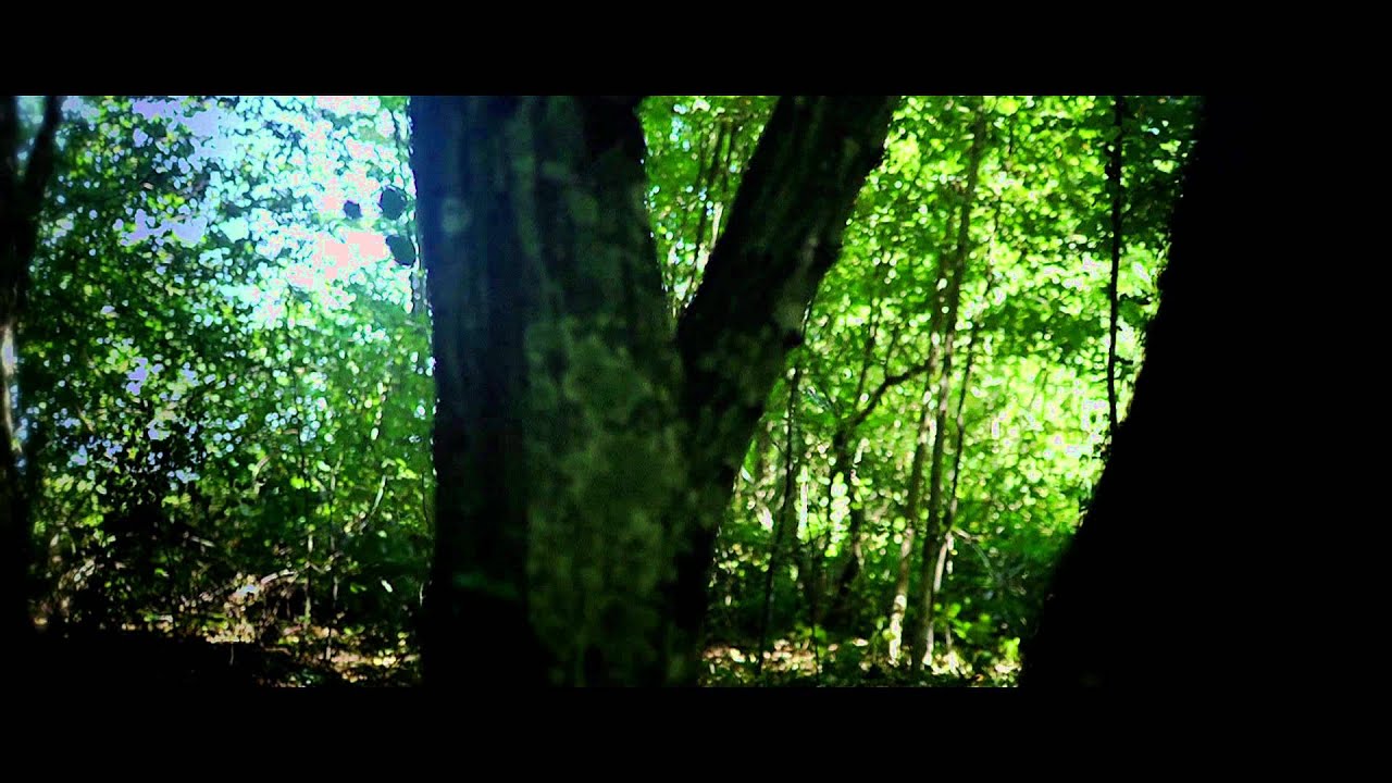 Miniature de la vidéo Dead - Official Trailer [HD] du film Dead