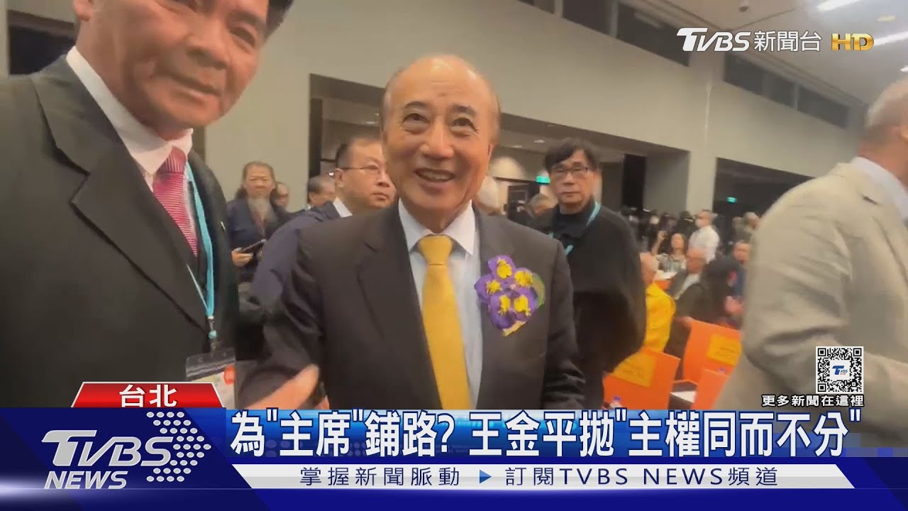 王金平拋「和平倡議」!綠轟:最爛的一國兩制
