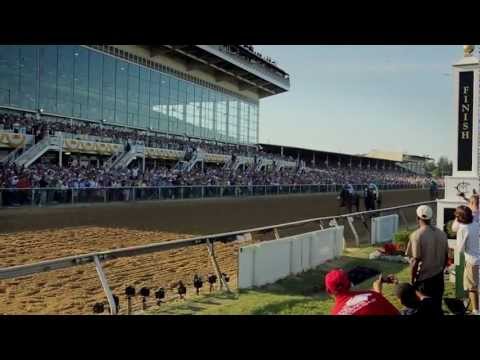 WANDERING HAT - The Preakness Stakes