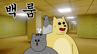 [짐승친구들] 백룸에 갇혀버린 짐승친구들