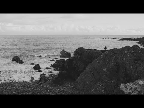 Don Istotnie / Foxs - Pasja (Official Video)