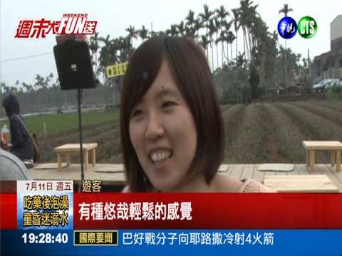 茶園變成遊樂園! 大小朋友都盡興