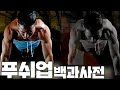 푸쉬업은 모든 운동의 근간이 됩니다. 팔굽혀펴기 팩트강의!