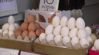 Всесвітній день яйця відзначають у Харкові