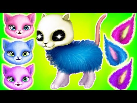 Play Fun Kitten Pet Care - Cat Hair Salon Birthday Party - Dress Up Hair Salon Birthday Care Games